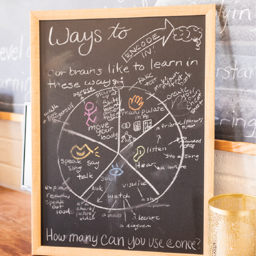 chalkboard with notes about how the brain learns